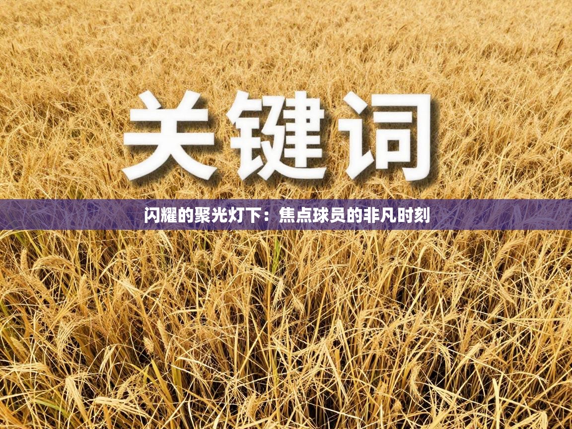 闪耀的聚光灯下：焦点球员的非凡时刻  第2张