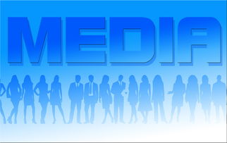 开云体育网址-体育新闻中心协办全国体育数字内容创新大会，2021全球体育数字化转型研讨会